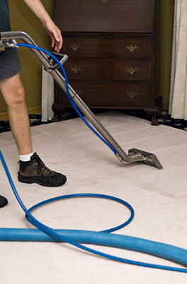 Clearview Carpet and Floor Cleaning